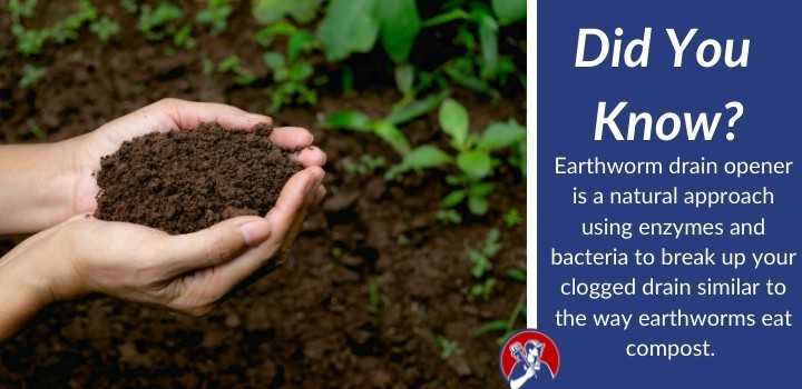 did you know earthworm drain cleaner (1)