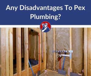 pex plumbing disadvantages