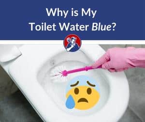 Why is my toilet water blue