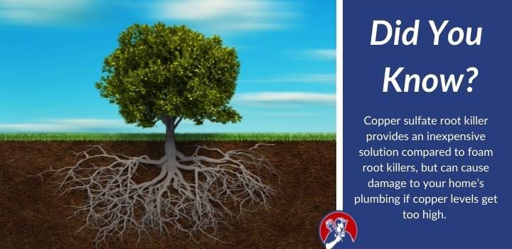did you know Best Tree Root Killer For Sewer Lines