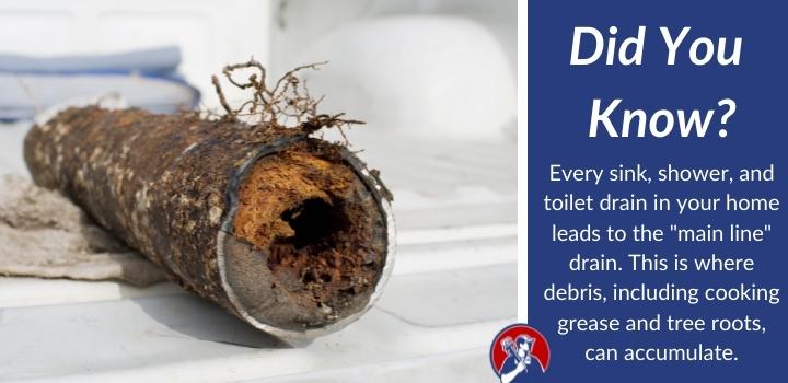 did you know Sewer Line Cleaning