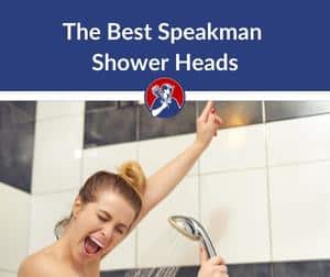 Best Speakman Shower Head