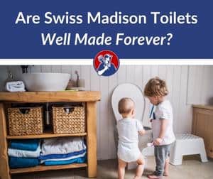 Best Swiss Madison Toilets Well Made Forever