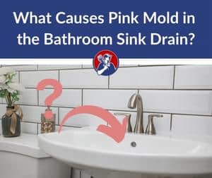 What Causes Pink Mold in Bathroom Sink Drain