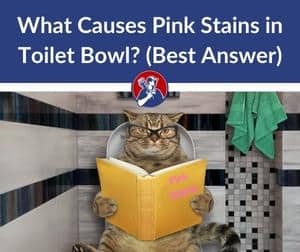 What Causes Pink Stains in Toilet Bowl (Best Answer)
