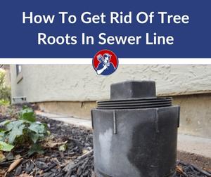 How To Get Rid Of Tree Roots In Sewer Line