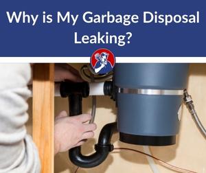 garbage disposal leaking