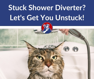 Stuck Shower Diverter